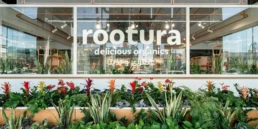 Rootura 02 1 1